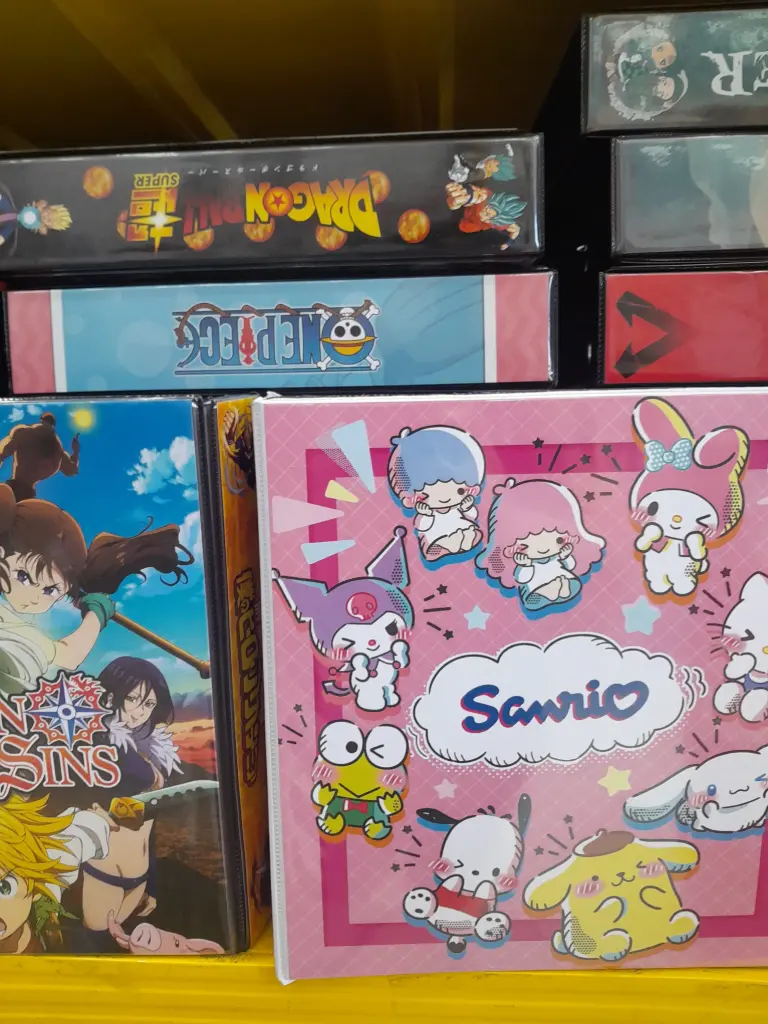 CARPETAS N3 PLASTIFICADAS